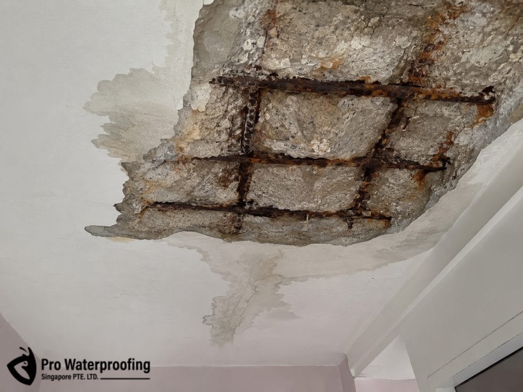 Dangerous spalling concrete on ceiling with exposed rusted steel rebars inside a Singapore HDB flat.