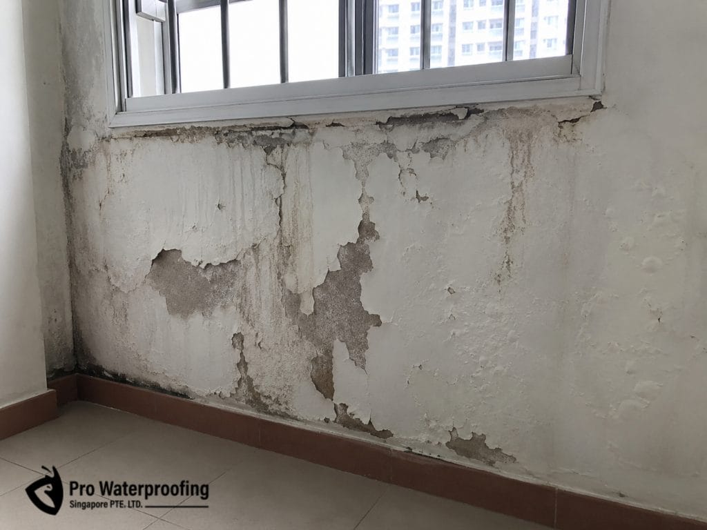 Peeling paint and bubbling wall caused by external water seepage in Singapore HDB flat.
